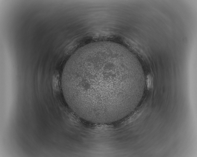 X0000112351059200908271228