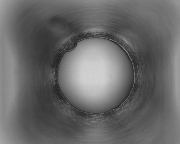 X0000112351062200908271228