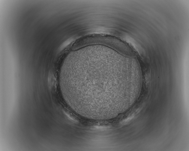 X0000112351064200908271228