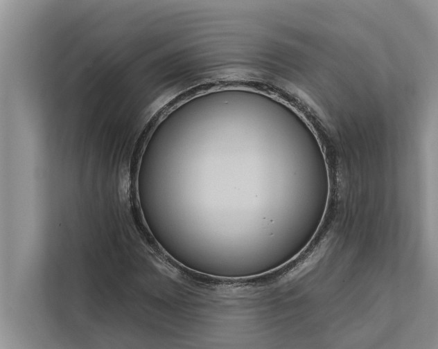 X0000112351065200908271228