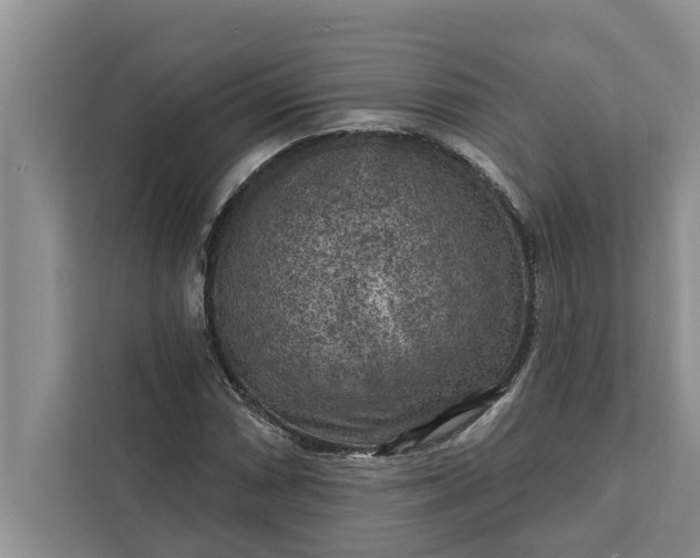 X0000112351066200908271228