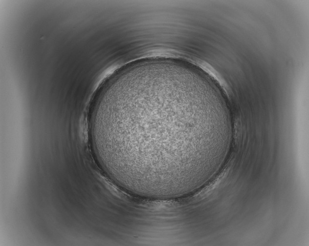 X0000112351067200908271228