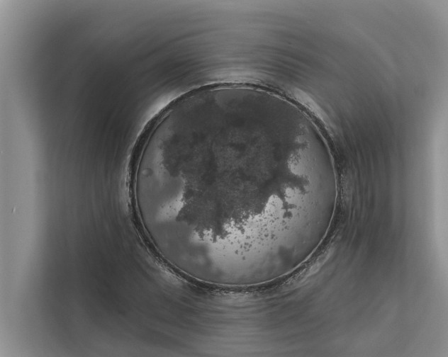 X0000112351071200908271228