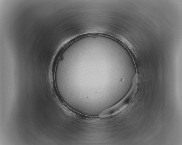 X0000112351072200908271228