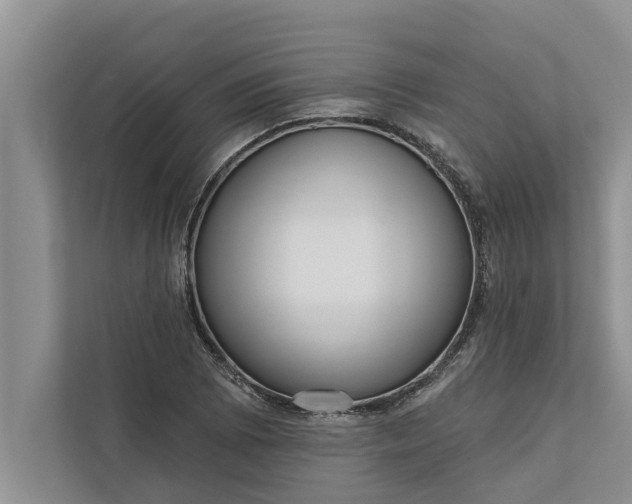 X0000112351073200908271228