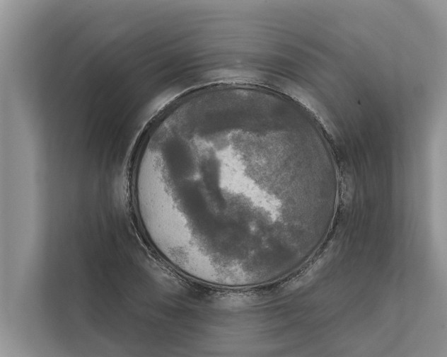 X0000112351074200908271228