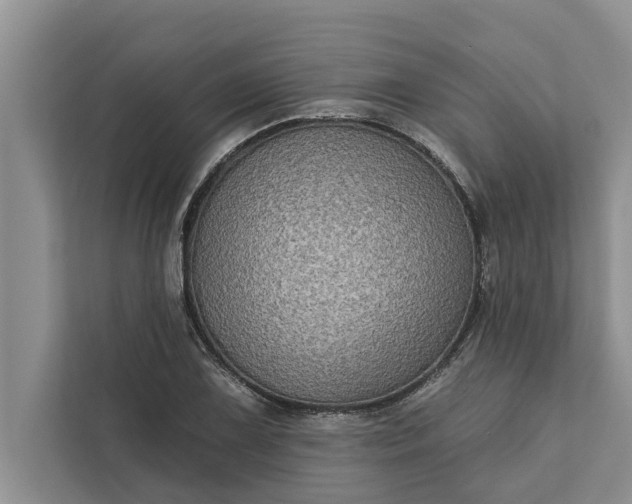 X0000112351075200908271228