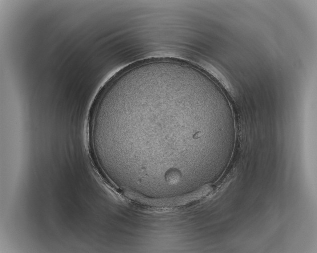 X0000112351076200908271228