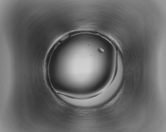 X0000112351077200908271228