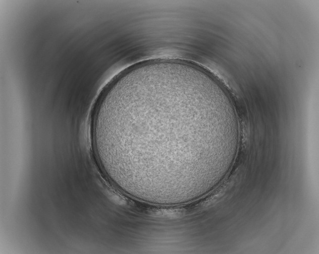 X0000112351078200908271228