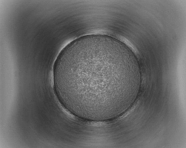 X0000112351079200908271228