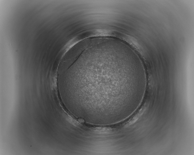 X0000112351081200908271228