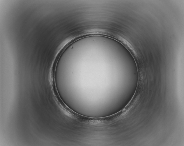 X0000112351082200908271228