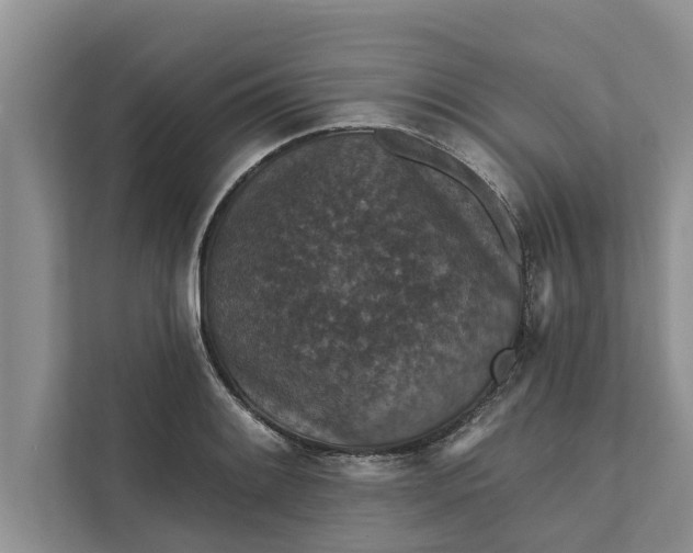 X0000112351084200908271228