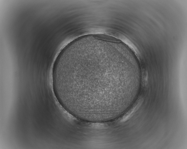 X0000112351088200908271228