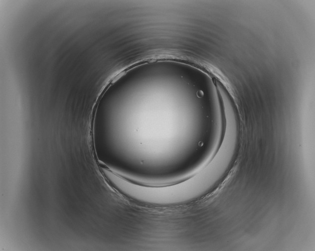 X0000112351089200908271228