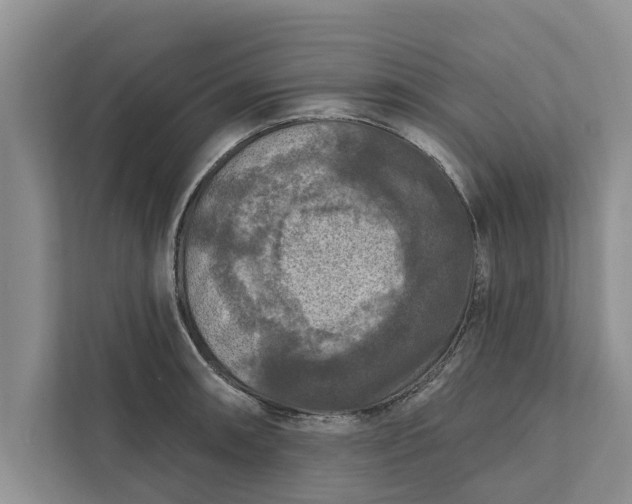 X0000112351090200908271228