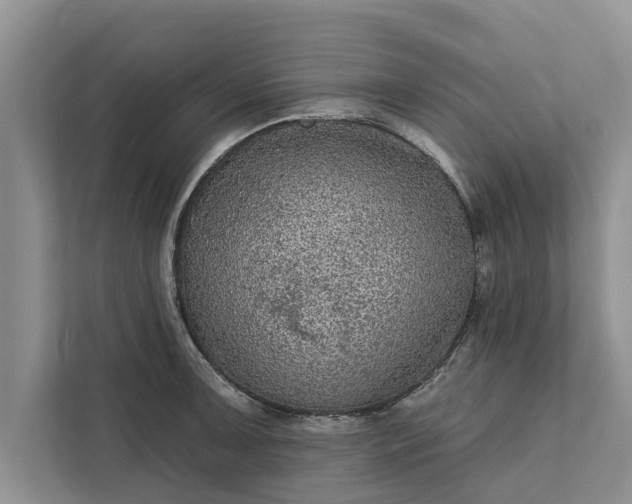 X0000112351091200908271228