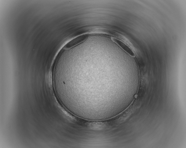 X0000112351092200908271228