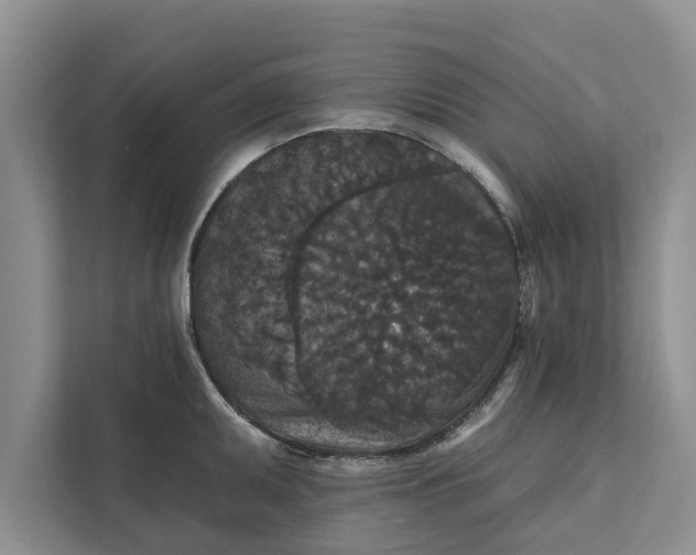 X0000112351095200908271228