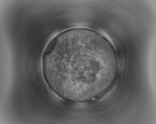 X0000112351096200908271228