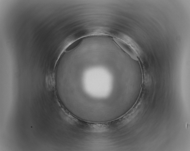 X0000112351097200908271228