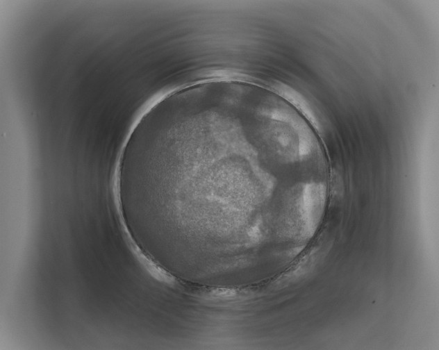 X0000112351098200908271228