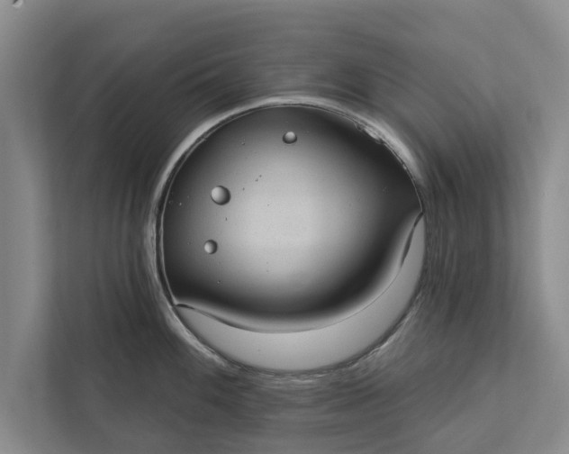 X0000112351100200908271228