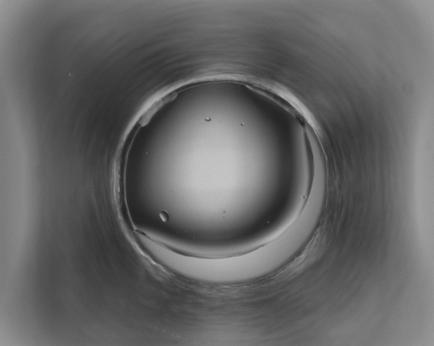 X0000112351101200908271228