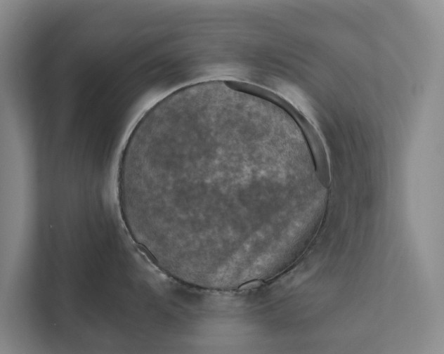 X0000112351104200908271228