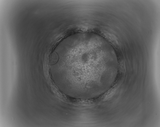 X0000112351105200908271227