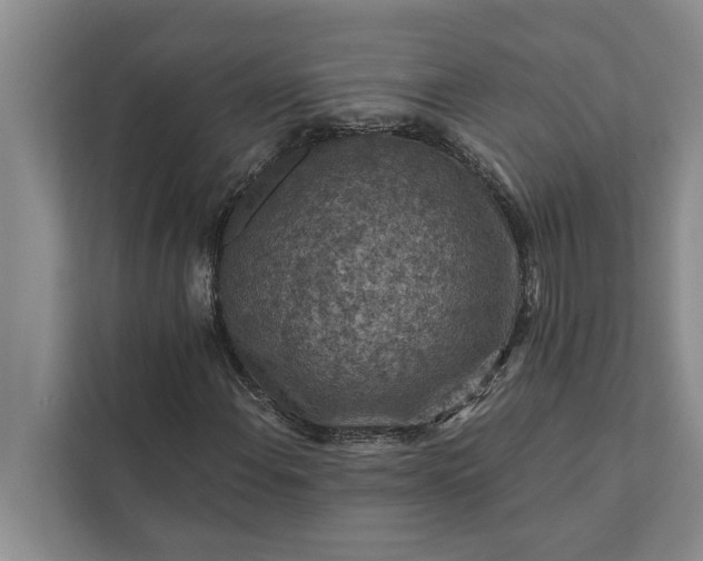 X0000112351108200908271227