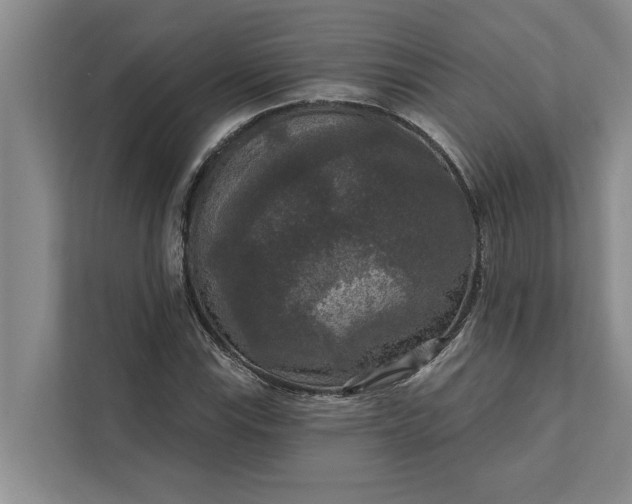 X0000112351115200908271227