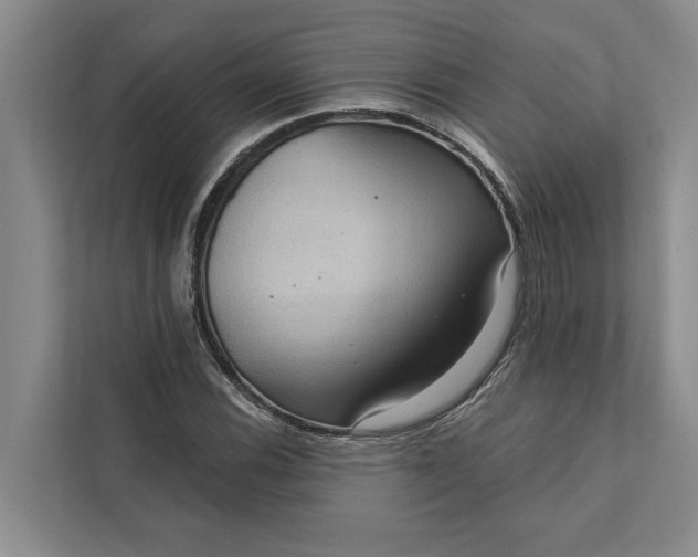 X0000112351116200908271227