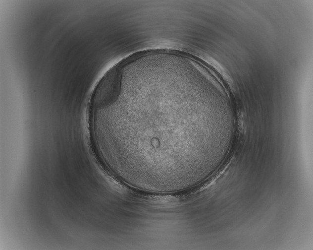 X0000112351120200908271227