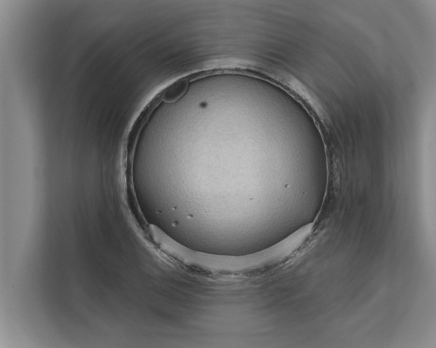 X0000112351124200908271227