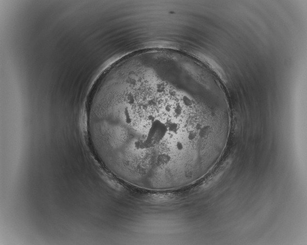 X0000112351125200908271227