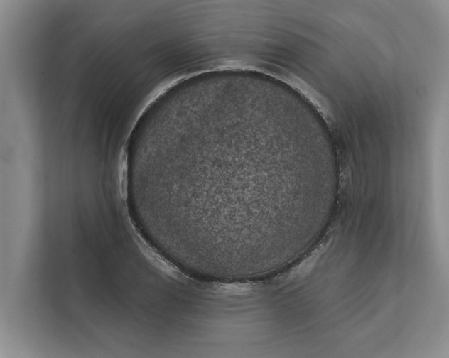 X0000112351126200908271227