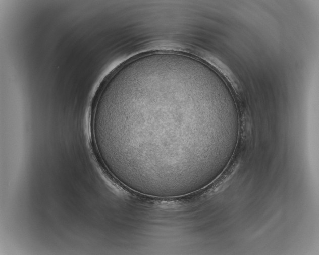 X0000112351128200908271227