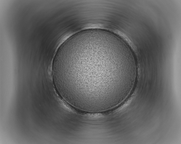 X0000112351129200908271227