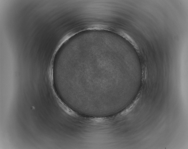 X0000112351130200908271227