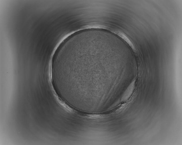 X0000112351132200908271227