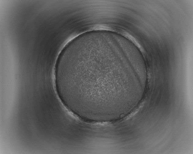 X0000112351133200908271227