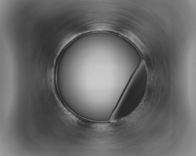 X0000112351134200908271227