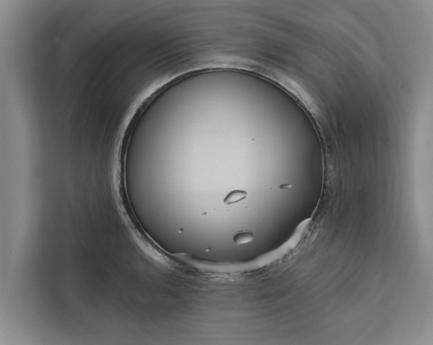 X0000112351136200908271227