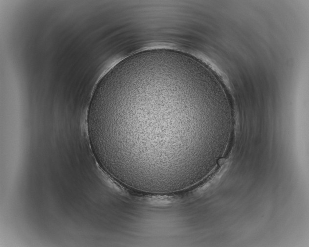 X0000112351137200908271227