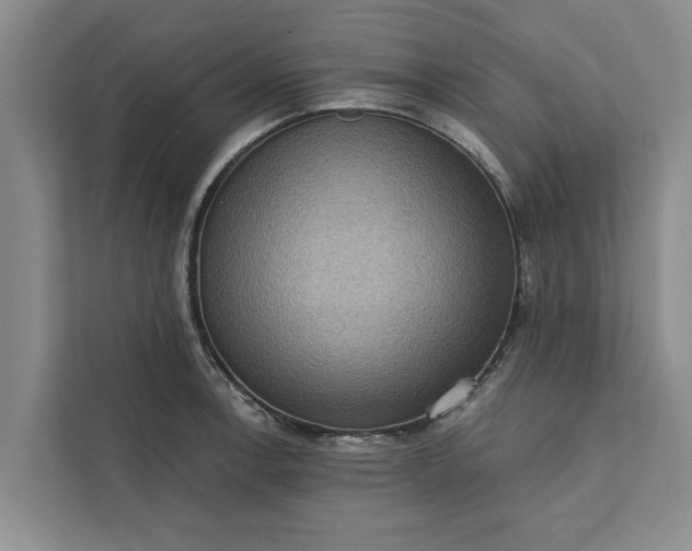 X0000112351138200908271228