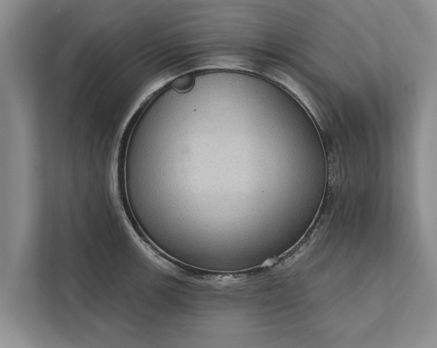 X0000112351139200908271228