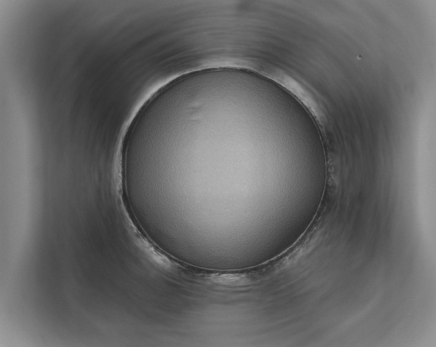 X0000112351140200908271228