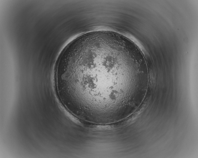 X0000112351142200908271228